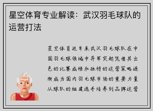 星空体育专业解读：武汉羽毛球队的运营打法