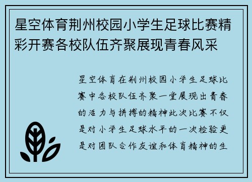 星空体育荆州校园小学生足球比赛精彩开赛各校队伍齐聚展现青春风采